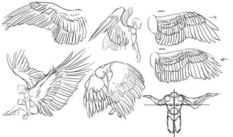 for feathers great and small | Wings drawing, Wings sketch, Art ...