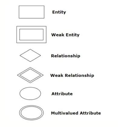 What is an Entity Relationship Diagram and How Do They Work?