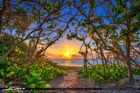 Carlin Park Jupiter Florida Beach Sunrise | Royal Stock Photo