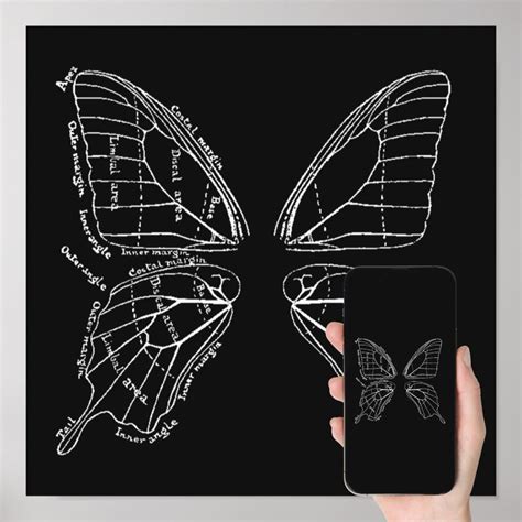 Anatomy Of A Butterfly Wing Vintage Diagram Poster | Zazzle in 2023 ...