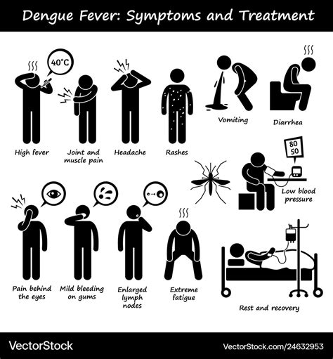 Dengue fever symptoms and treatment aedes Vector Image