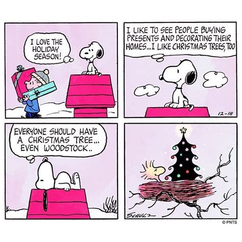 The most wonderful time of year! | Christmas comics, Snoopy cartoon, Snoopy love