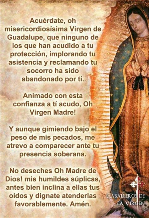 Oración poderosa a la Virgen de Guadalupe para protección y guía ※