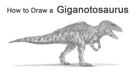 Giganotosaurus Drawing