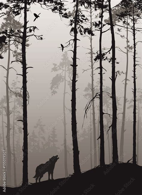 silhouette of a pine forest with wolves and birds, brown colors, vector ...