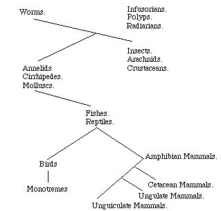 Lamarck and Species Evolution