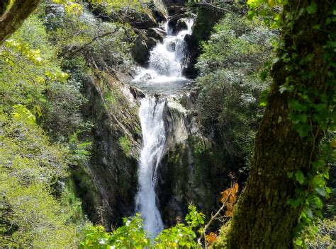 Devil's Bridge Falls (Devil's Bridge (Pontarfynach)) - 2019 All You ...