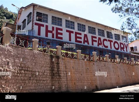 The Tea Factory, a working tea museum, located above Ooty, short for ...