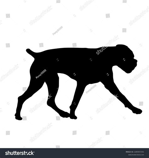 Boxer Dog Vector Silhouette Dog Breeds Stock Vector (Royalty Free ...