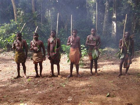 Rediscover Cameroon's Pygmies Culture