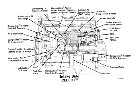 Cummins N14 Fuel System Diagram N14 Cummins Ecm Celect M11 L