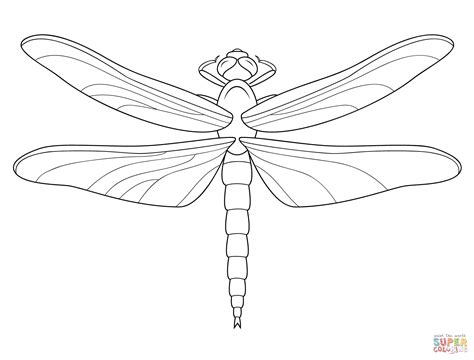 Dragonfly Drawing Images at GetDrawings | Free download