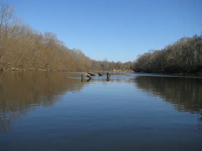 ON THE WATER IN SOUTH CAROLINA: Kayaking Big Pee Dee river