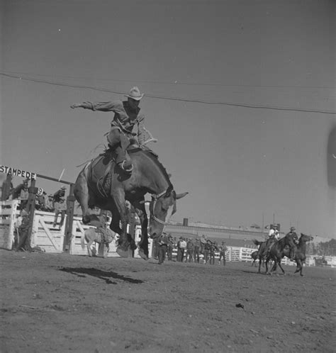 A cowboy rides a bucking bronco, Calgary Stampede, Alberta… | Flickr