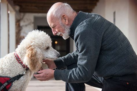 Therapy Dogs to Improve Mental and Physical Health