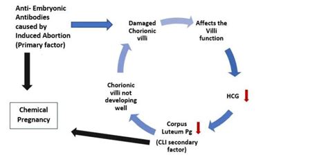 Effective Treatment for Chemical Pregnancy - Antai Hospital ...