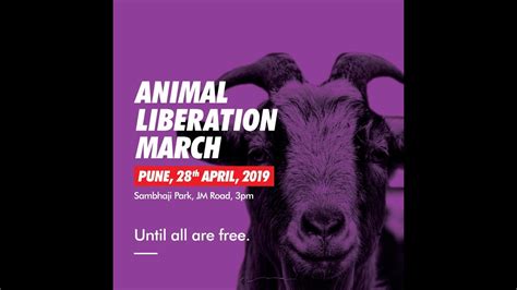 Animal Liberation March India - 2019 - YouTube