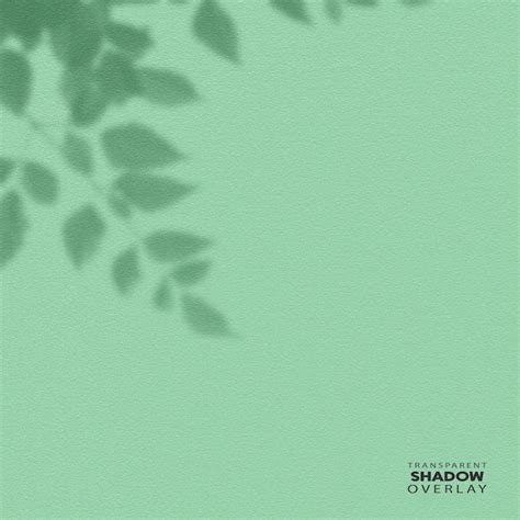 Premium PSD | Transparent plant leaf shadow overlay template
