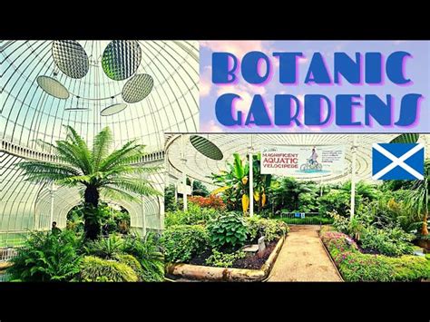 Explore Glasgow's Botanic Gardens