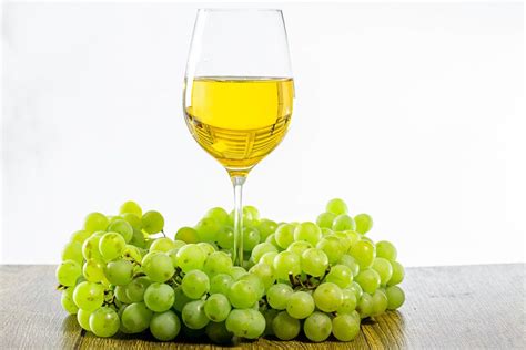 White wine in a glass with a full bottle, grapes and leaves on a white wooden background ...