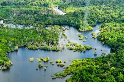 Amazon Rainforest | Aerial view of the Amazon Rainforest, ne… | Flickr