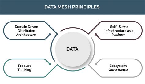 Data Mesh: The Four Principles of the Distributed Architecture ...