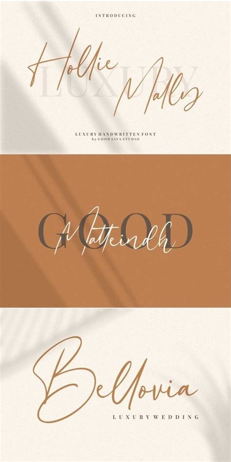 Script Fonts | Best Script Fonts - Creative Fabrica | Branding design ...