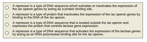 Solved What is the function of the repressor in the E. coli | Chegg.com