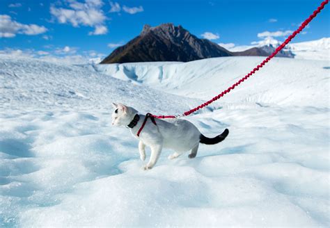 Wrangell-St. Elias National Park | 26/59 – Our Vie