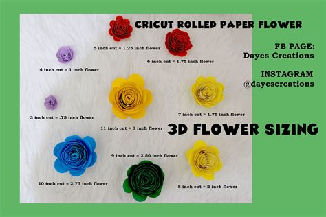 Cricut Tutorial: 3D Rolled Paper Flower Sizing | Paper flowers, Cricut ...