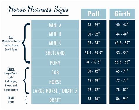 What Exactly Do the Sizes Mean on Our Size Charts? | Chimacum Tack