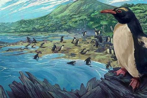 Newly-described fossils reveal an ancient origin for New Zealand penguins