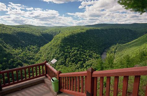 Pine Creek Gorge Overlook Photograph by David Lamb | Pixels