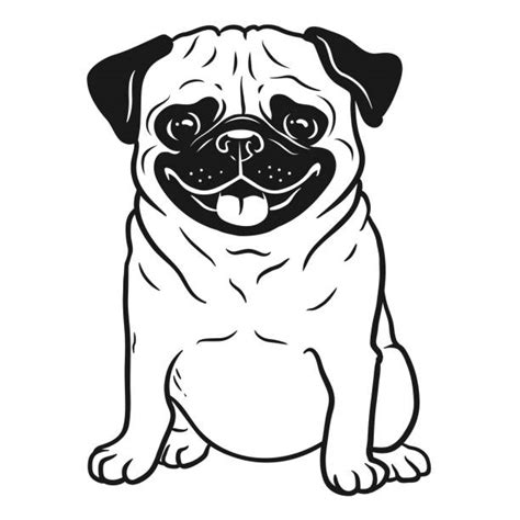 Desenho De Pug Para Colorir | Porn Sex Picture