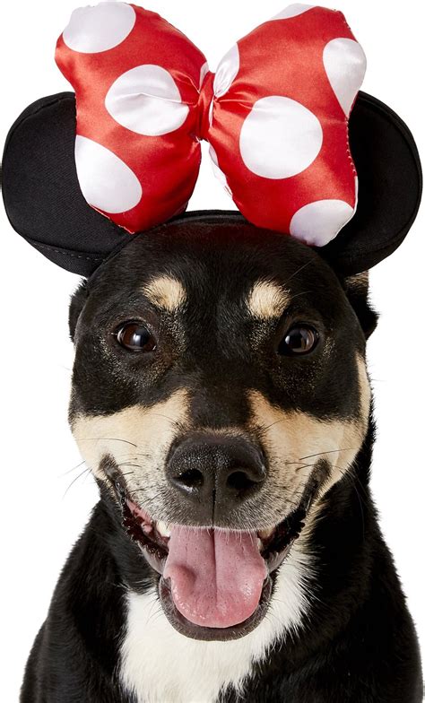 Rubie's Costume Company Minnie Mouse Ears Dog & Cat Costume, Small ...