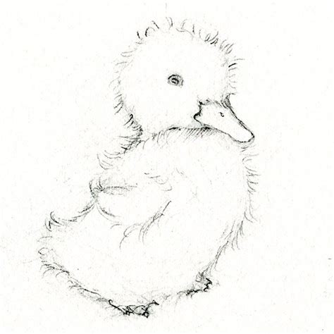 Adorable Art: Learn How to Draw and Paint a Duckling | Animal drawings, Drawings, Art