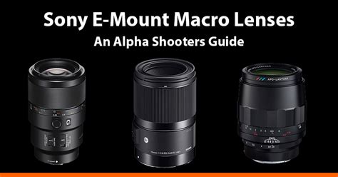 Sony E-Mount Macro Lenses Guide - AlphaShooters.com