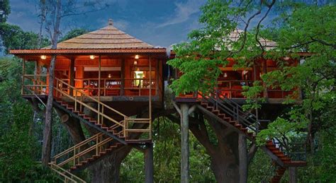 Travelling To The Best Treehouses Across India - Homegrown