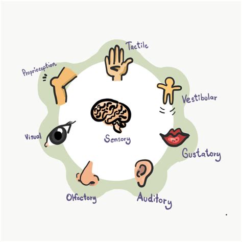 Sensory Integration and Speech Therapy | Granite Bay Speech