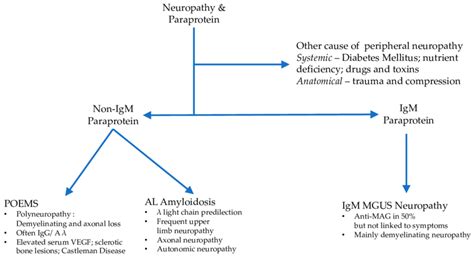 Initial clinical evaluation of a patient with a MGUS and peripheral ...