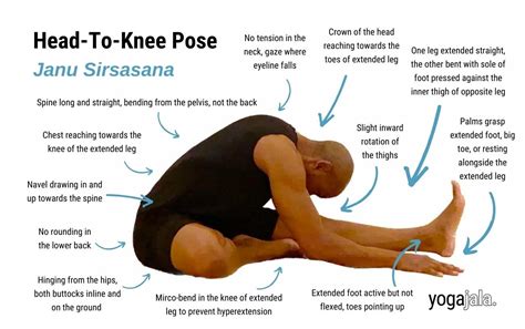 Head-To-Knee Pose (Janu Sirsasana)