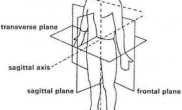 The Axis of Rotation - All American Sports Medicine - Sports Training ...