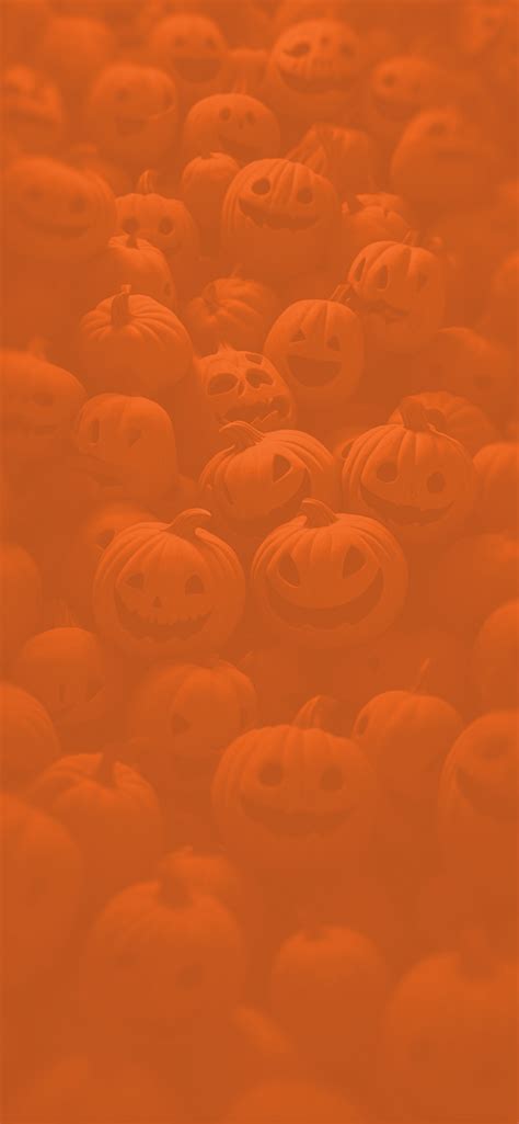 Funny Halloween Wallpapers - Free Halloween Pumpkin Wallpapers