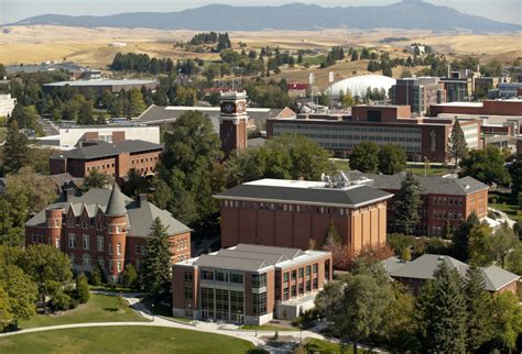 Student conduct task force submits recommendations | WSU Insider | Washington State University