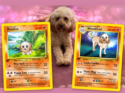 Evolution Set - 2 or 3 Pet Pokemon Cards - campestre.al.gov.br