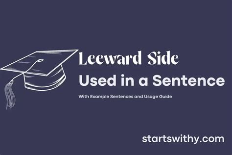 LEEWARD SIDE in a Sentence Examples: 21 Ways to Use Leeward Side