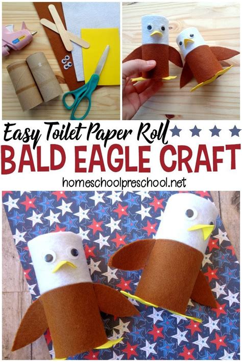 Bald Eagle Craft - #birds | Eagle craft, Paper roll crafts, Toilet paper roll crafts