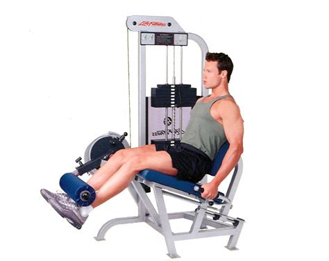 9 Best Leg Extension Machines - 2022 Edition | GarageGymBuilder | Leg extensions, Curl bar ...