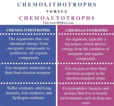 What is the Difference Between Chemolithotrophs and Chemoautotrophs - Pediaa.Com