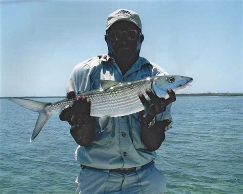 Grand Bahama Fishing Forecast – March 2013 - Coastal Angler & The Angler Magazine